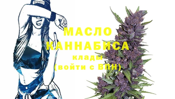 прущий лед Бородино