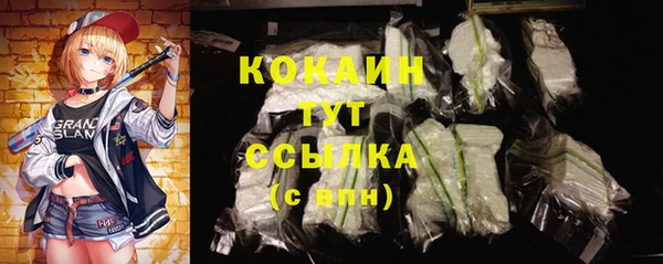 прущий лед Бородино