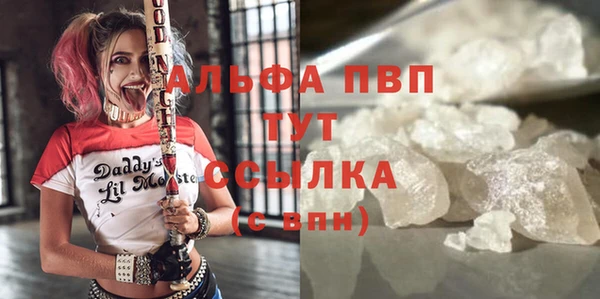 прущий лед Бородино
