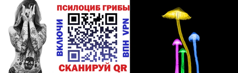 Галлюциногенные грибы Psilocybine cubensis Шахунья