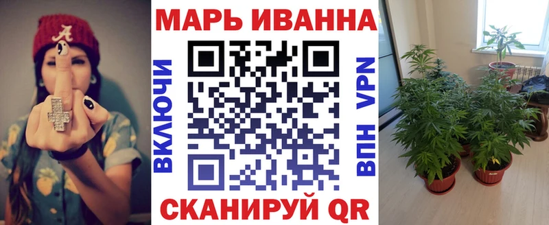Купить  Шахунья  МАРИХУАНА сатива 